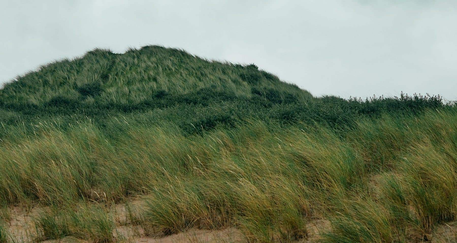 dunes