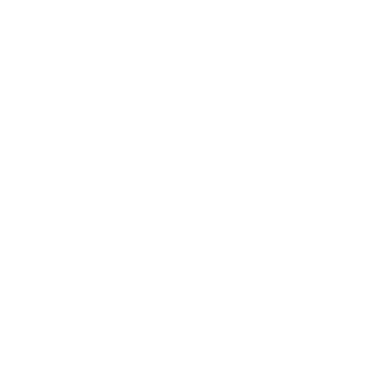 instagram-white